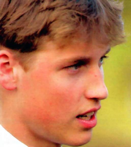 Portrait Prince William