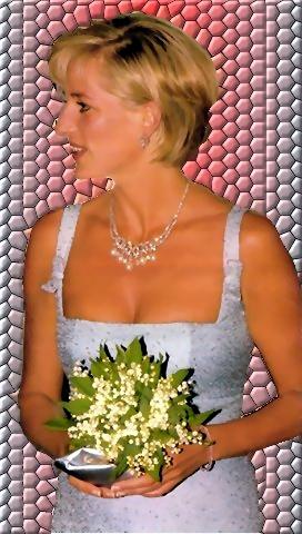 Princess Diana : HEAVEN HAS GAINED AN BEAUTIFUL ANGEL BUT THE WORLD HAS LOST A GREAT PERSON!!